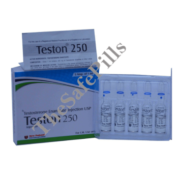 Teston 250mg (Testosterone Enanthate)